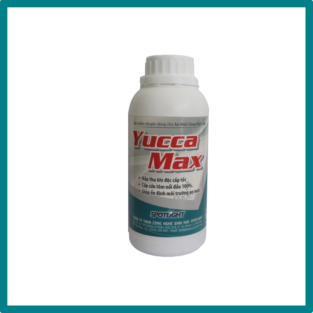 Yucca Plus YUCCA MAX – Spotlight